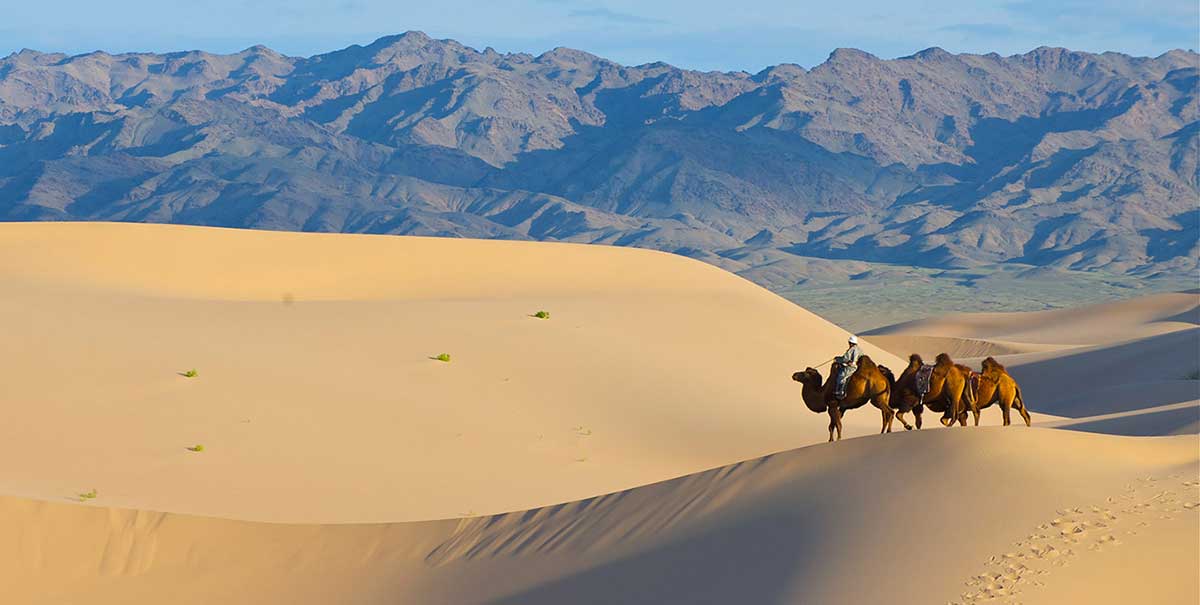 Gobi desert